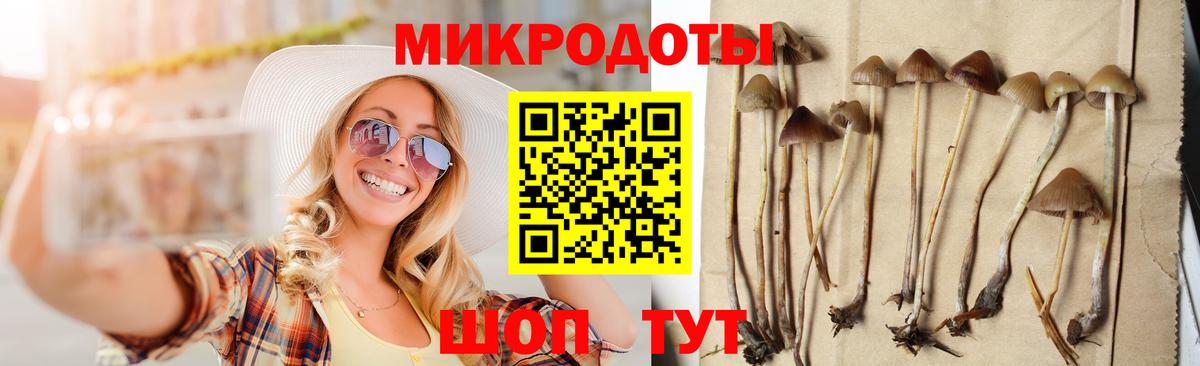 Галлюциногенные грибы прущие грибы Усть-Кут